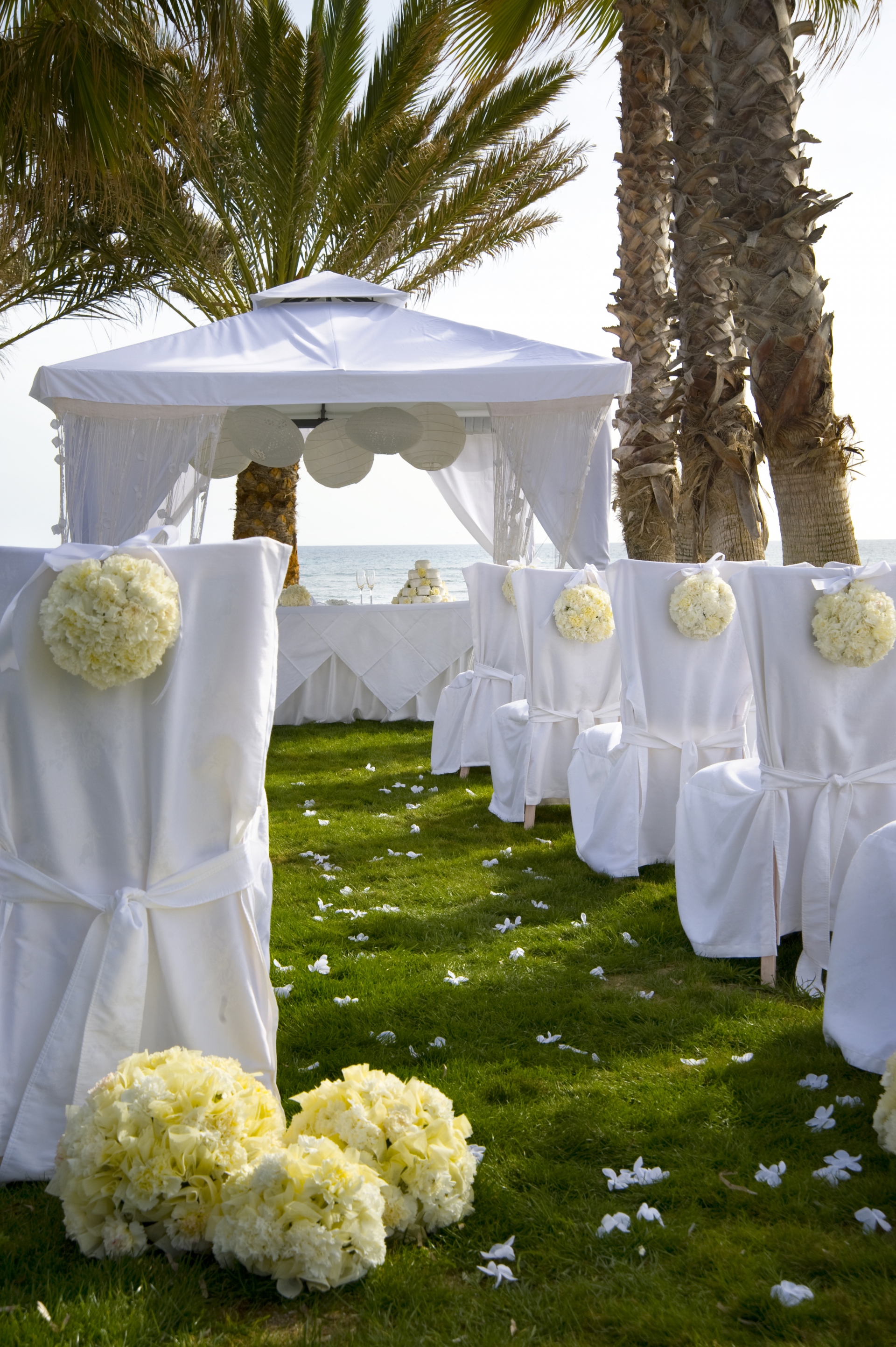 Book your wedding day in Louis Phaethon Beach Hotel Paphos